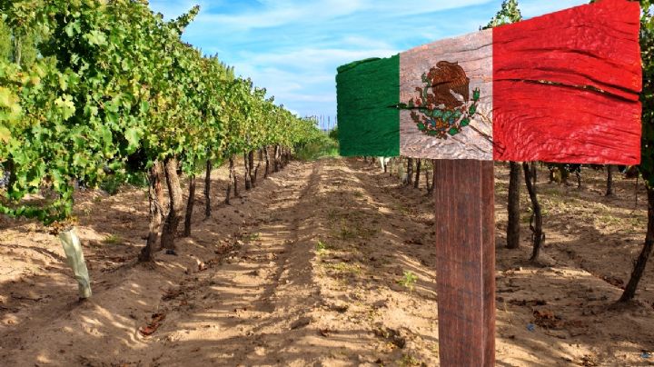 México suspende pago de aranceles a alimentos importados por un año