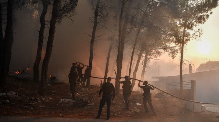 Sinaloa registra baja incidencia de incendios forestales