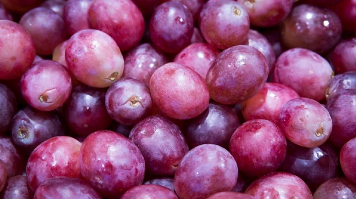 Envío de uvas frescas, en aumento: Sader