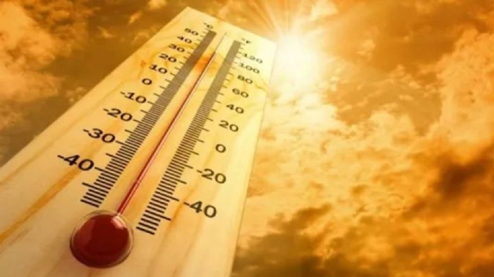 Ola de calor: se esperan hasta 52 grados en Tamaulipas