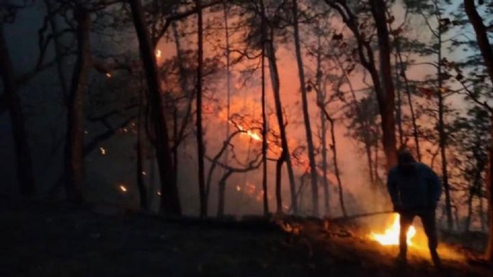 Incendios forestales arrasan con más de 24 mil hectáreas en Sinaloa; aún persisten dos focos activos
