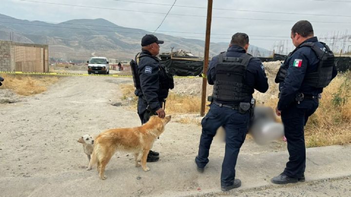 Hallan cuerpo sin vida de Policía Municipal en Tijuana