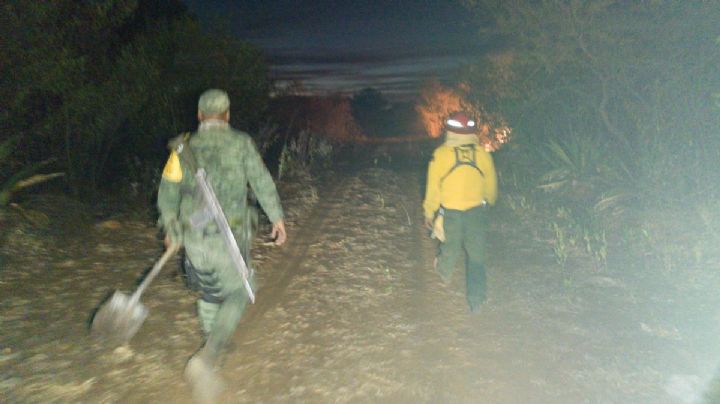 Tres municipios de Jalisco activan alerta atmosférica por incendio forestal: Semadet