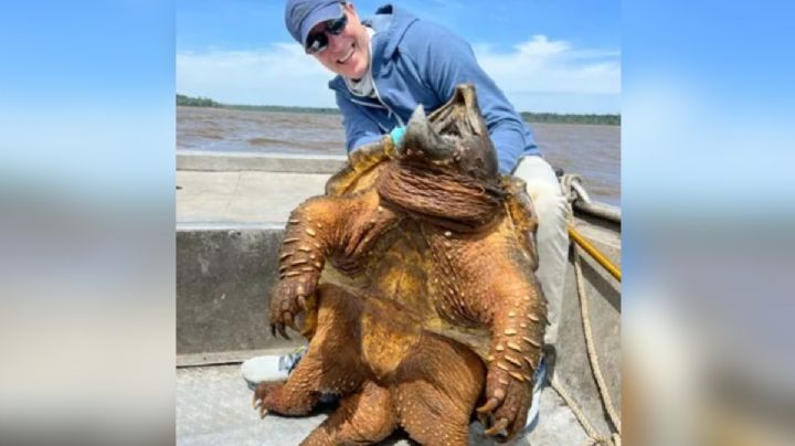 Un pescador capturó una tortuga caimán increíble de 90 kilos en Texas