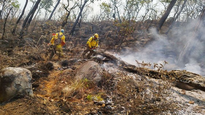Combaten 154 brigadistas incendio boscoso en Valle de Bravo