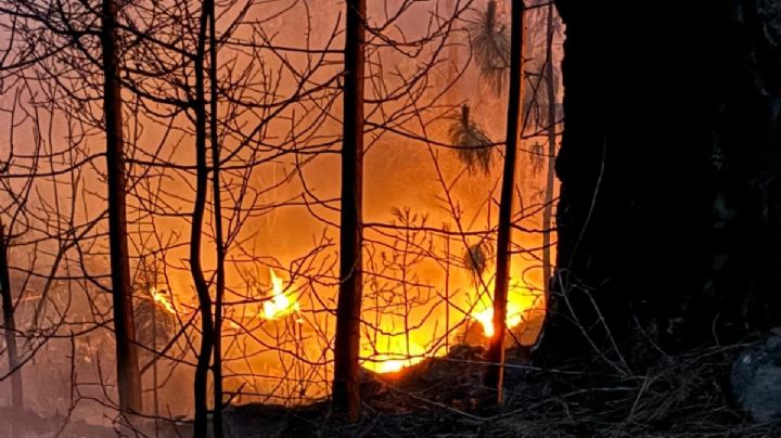 Continúa incendio en Monte Alto en Valle de Bravo, es combatido por 90 brigadistas
