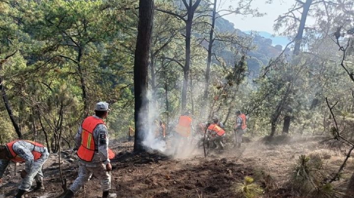 Gobierno del Estado de México sofoca la totalidad de los incendios forestales registrados en el municipio de Valle de Bravo