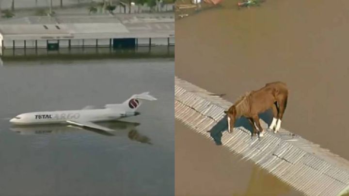 IMÁGENES IMPACTANTES: el "apocalipsis" en Brasil con caballos atrapados en los techos y aviones como barcos