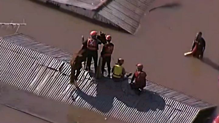 VIDEO: rescatan a caballo atrapado en techo de una casa inundada, pasó un día varado