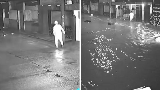 Momento exacto en que Río Cazones se desborda causando inundaciones en Veracruz | Video