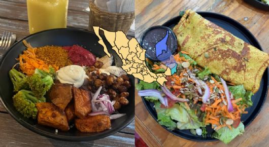 Los 3 lugares más bonitos para comer en Playa del Carmen: rico y saludable