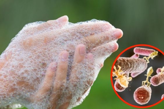 Retiran del mercado JABONES de una FAMOSA MARCA, están contaminados con bacteria que causa infecciones en la piel