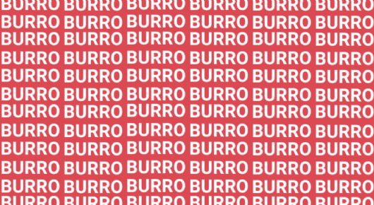 Sólo una persona con vista de halcón puede encontrar la palabra 'Burlo' en menos de 5 segundos