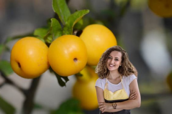 Cómo hacer un abono casero con 2 ingredientes para que tu limonero dé más frutos en pocos días