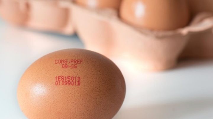 El precio del huevo aumenta, llega hasta los 50 pesos en estos lugares de México