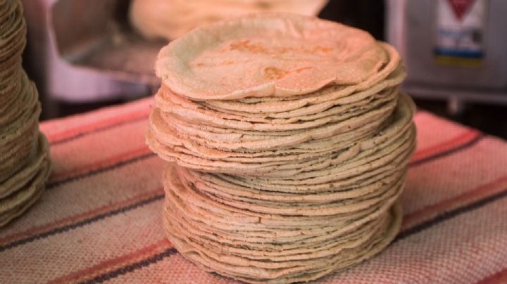 Más caro que el DÓLAR; Precio del kilo de TORTILLAS llega a su máximo histórico en Apatzingán