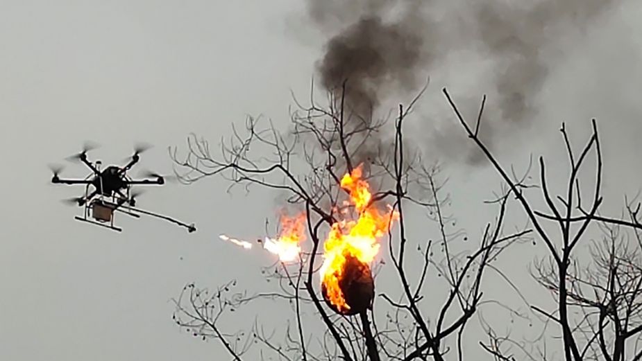 Atacan con drones a policías en el municipio de Aguililla, Michoacán