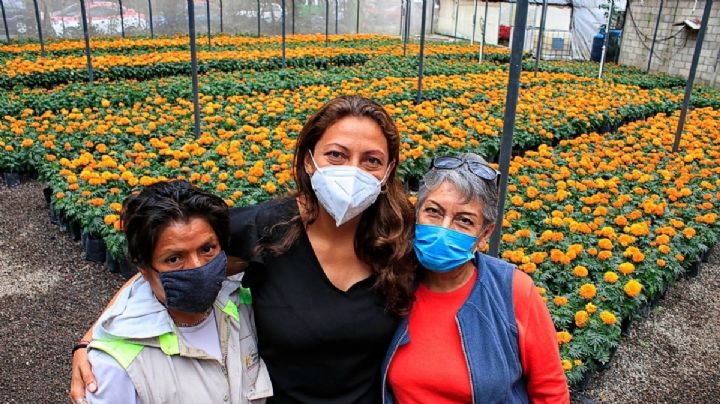 Venustiano Carranza produce 15 mil flores de cempasÃºchil para festividad de DÃ­a de muertos