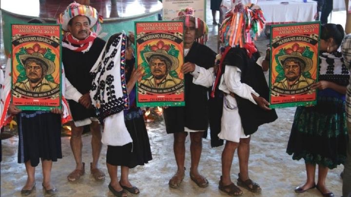 Sociedad 'Abejas de Acteal' recibe reconocimiento de Premio a la Defensa Ambiental en Chiapas