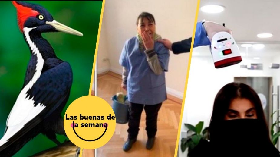 Inicia febrero con 5 buenas noticias que te recargarán de energía