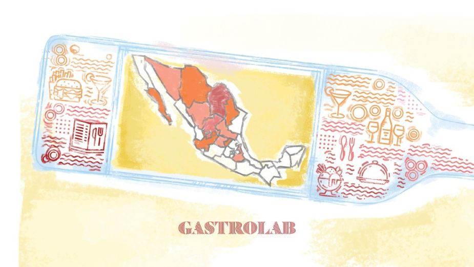 6 Rutas vinícolas en México que no te puedes perder