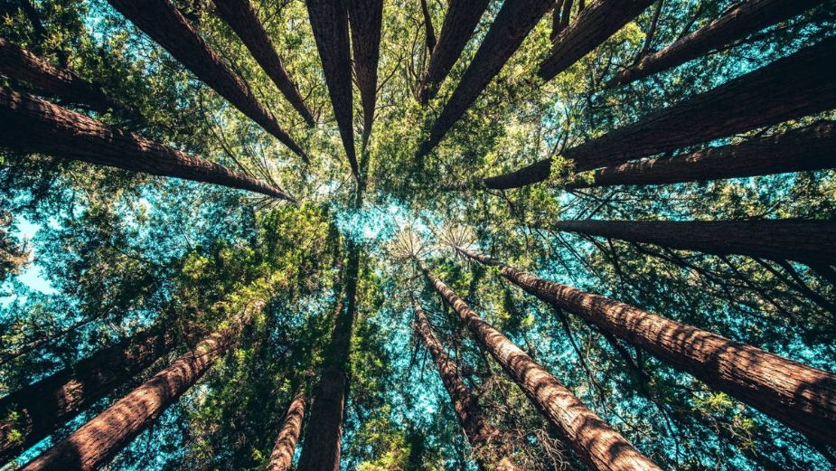 Día internacional de la Madre Tierra: ¿Por qué llama de esta forma a nuestro planeta?