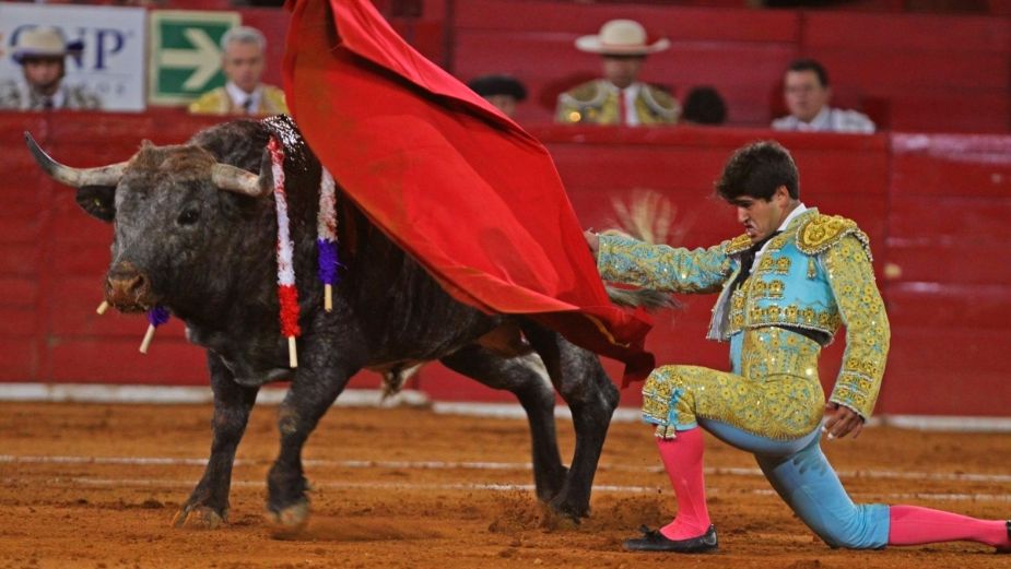 Plaza de Toros México ya puede operar