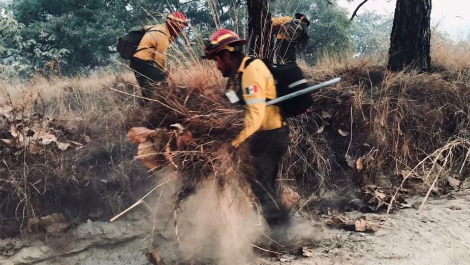 Preocupa aumento de incendios en Jalisco, alarma en El Bosque de la Primavera