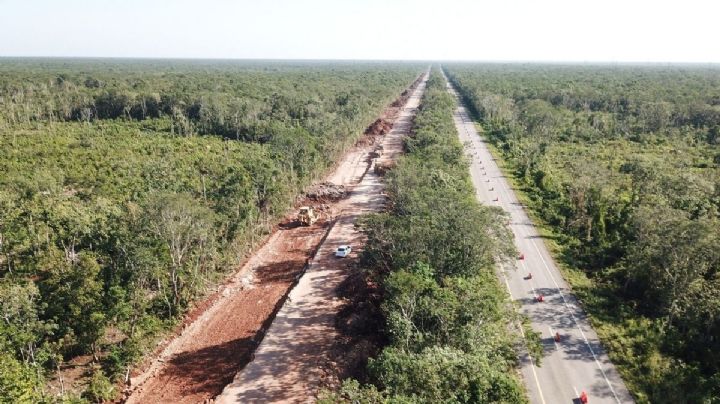 350 acadÃ©micos rechazan construcciÃ³n del Tren Maya; exigen detener el proyecto