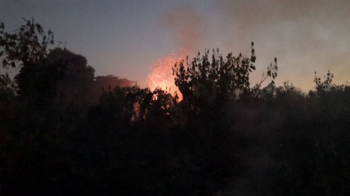 Conafor reporta 9 incendios forestales en Colima; la mayoría en Manzanillo