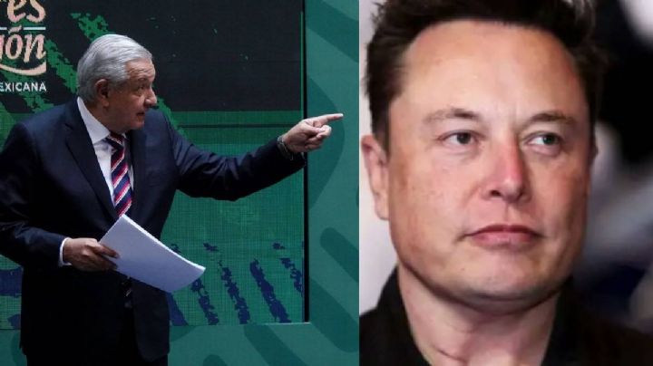 Pajarracos y bots evitaron que Elon Musk comprara Twitter: AMLO