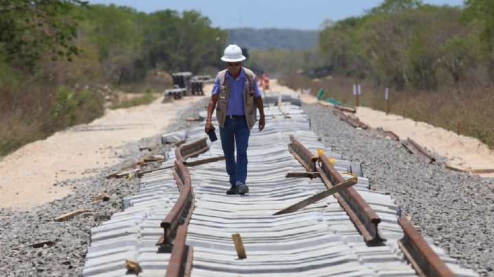 Tramo 5 sur del Tren Maya no ha sido autorizado por la Semarnat, asegura activista