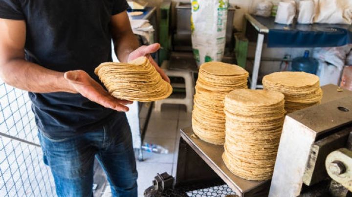 Precio de Tortilla: Tiendas de Diconsa venden a 6.50 el kilo