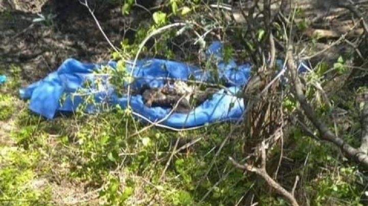 MichoacÃ¡n: Hallan 11 cuerpos en una fosa clandestina en Uruapan