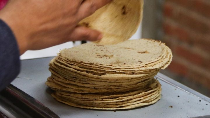Precio de la Tortilla: Industriales de Nuevo León podrían bajar el precio con subsidio
