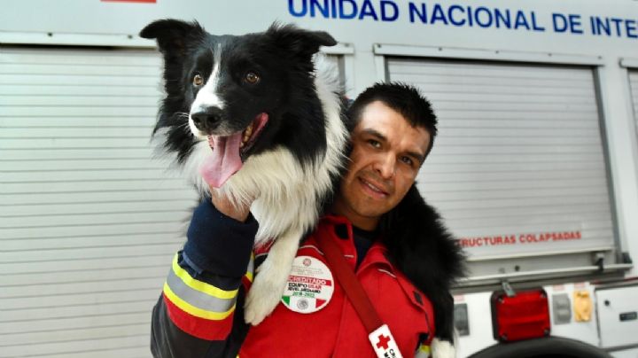 Cruz Roja destaca labor de perritos rescatistas