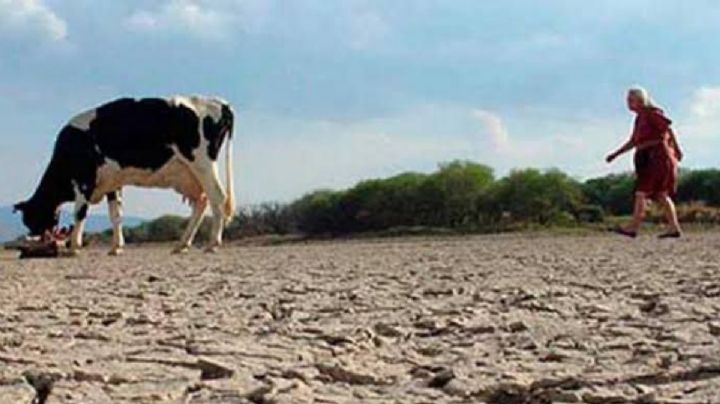 La sequía no cede en Chihuahua, el agua falta en 51 de los 67 municipios