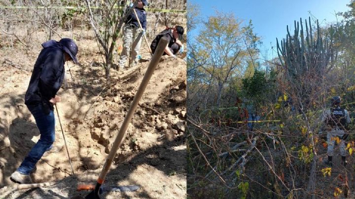 Hallan fosa clandestina con 113 restos óseos en Los Cabos, Baja California