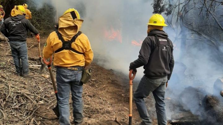 Incendios forestales se duplican en el Edomex durante marzo; 5 municipios concentran el 33%