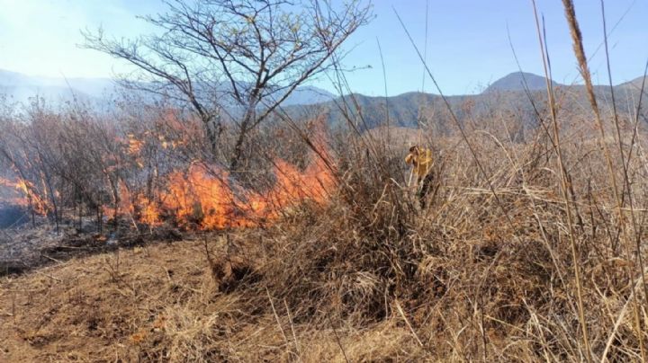 Cinco incendios forestales activos en Veracruz