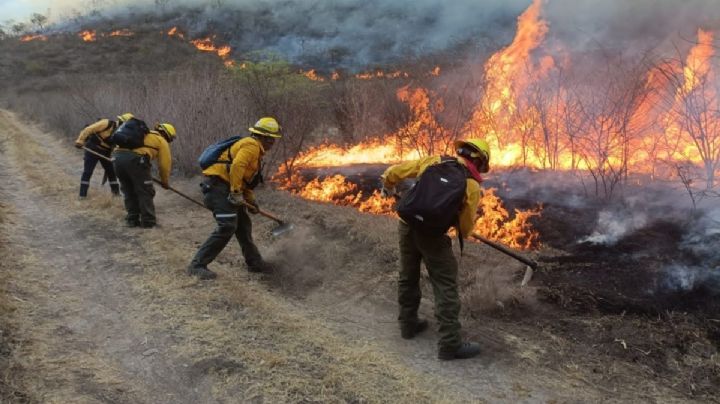 Más de 125 hectáreas afectadas por incendios forestales en Veracruz