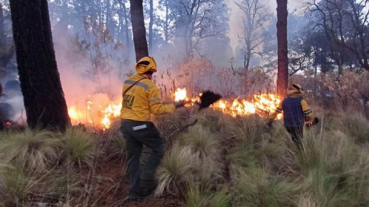 Sedema CDMX: en la capital del país se han registrado 594 incendios forestales