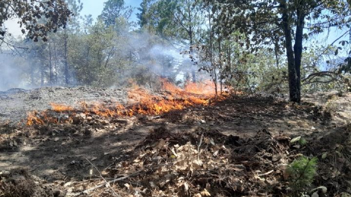Hidalgo: se reportan 62 incendios forestales
