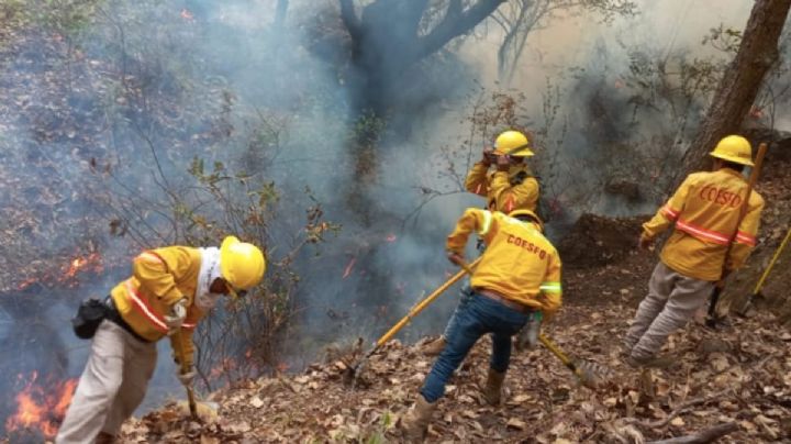 Autoridades en Oaxaca reportan 6 incendios forestales que están activos
