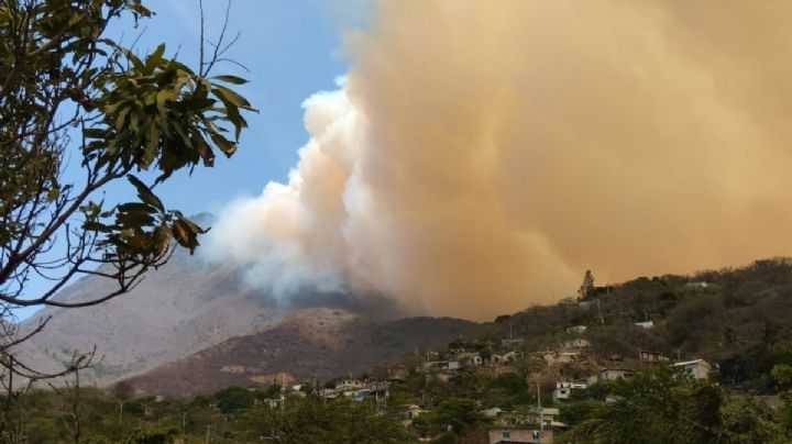 Pobladores de Santiago Lachiguiri piden auxilio por el incendio en la Sierra Mixe-Zapoteca