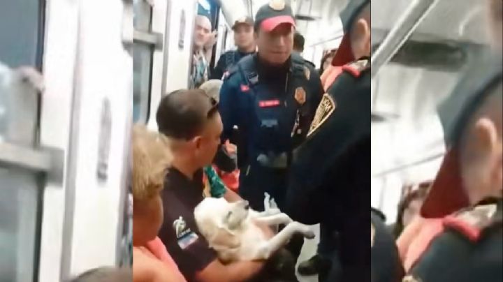 VIDEO: indigna caso de hombre que fue sacado del Metro con su perrito herido