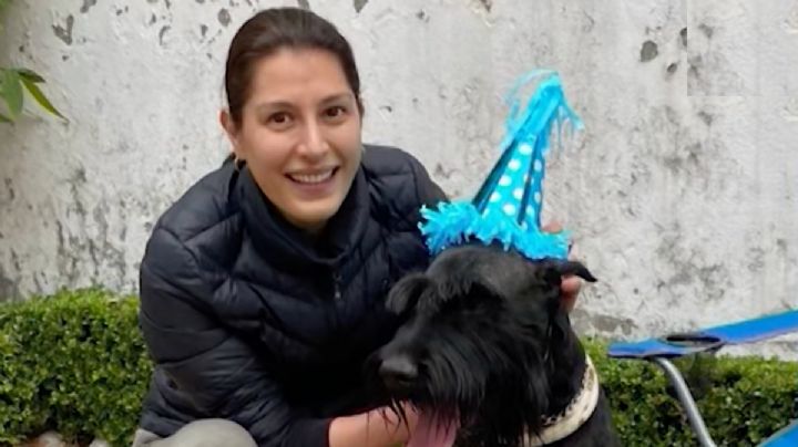 "No quiero la camioneta, solo quiero a mi perro": Miriam exige que le regresen a su lomito tras un asalto