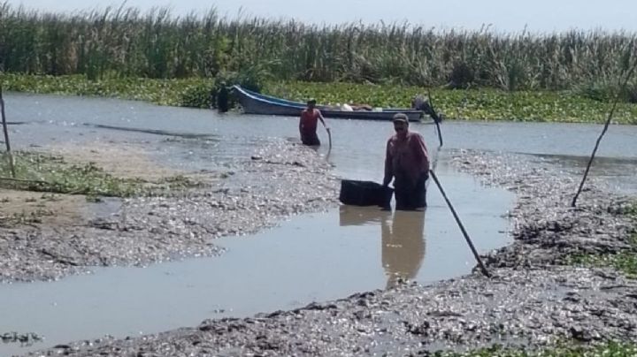 Encuentran 40 tomas clandestinas para robar agua de laguna del Champayán al sur de Tamaulipas