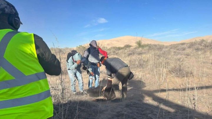 Rescatan a 4 migrantes sudamericanos en desierto de Salamayuca