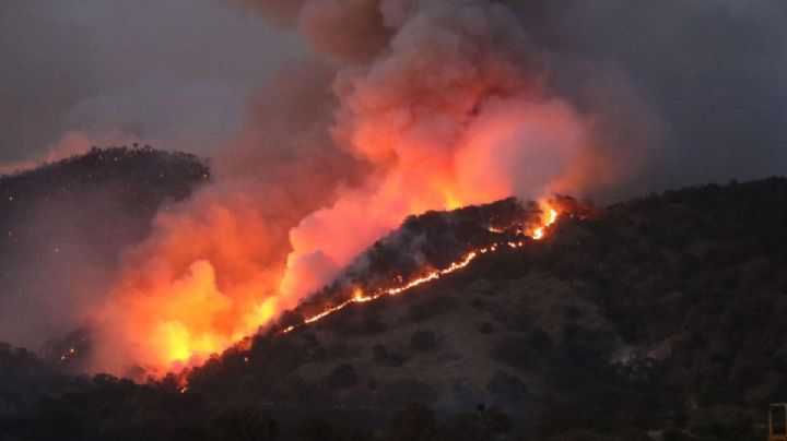 ¿Por qué hay más incendios forestales? Expertos explican la razón